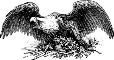 johnny automatic war eagle